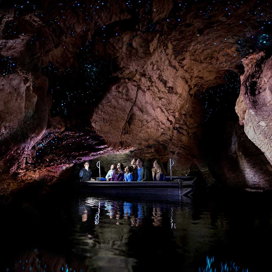 Glowworm Caves Tour Te Anau